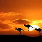 Australia Visa Service by Careers Institute of IELTS and Consultancy